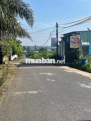 Đất nền xã Trảng Bom ( Quảng Tiến cũ) 1 tỷ 550 gần trường IGC và QL1A
