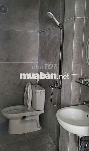 Cho thuê nhà nguyên căn mới tinh dt4×14 có 4pn,5wc hẻm xe 3 gác