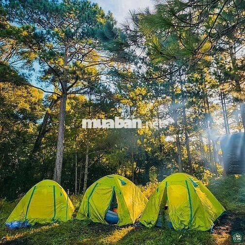 Sở hữu một mảnh đất nhỏ nhưng đủ để tận hưởng cuộc sống an yên