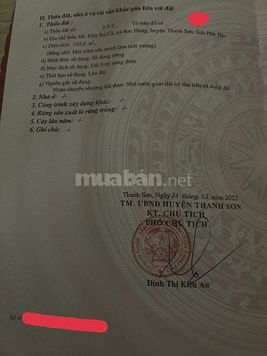 Bán đất phân lô khu dân cư chợ Vàng Thanh Sơn Phú Thọ