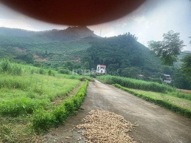 Bán đất phân lô khu dân cư chợ Vàng Thanh Sơn Phú Thọ