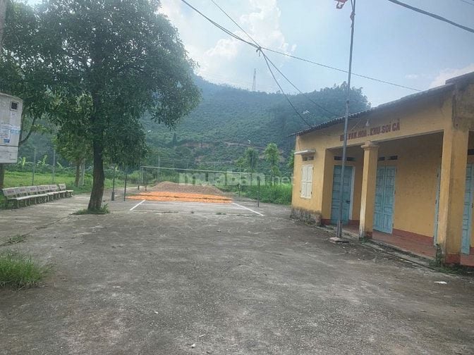 Bán đất phân lô khu dân cư chợ Vàng Thanh Sơn Phú Thọ