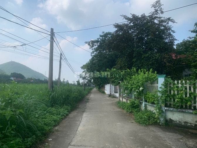 Bán đất phân lô khu dân cư chợ Vàng Thanh Sơn Phú Thọ