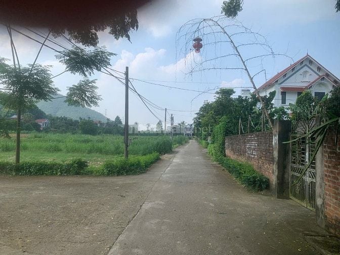 Bán đất phân lô khu dân cư chợ Vàng Thanh Sơn Phú Thọ