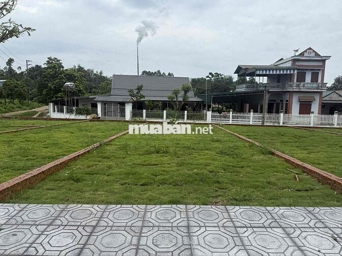Đất sổ đỏ 100m2. Cách quốc lộ 21A chỉ 50m2 tại Phú cát, Hà Nội