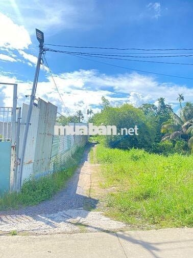 BÁN ĐẤT VƯỜN ẤP AN MỸ, XÃ AN SƠN, THUẬN AN, BD (CŨ)