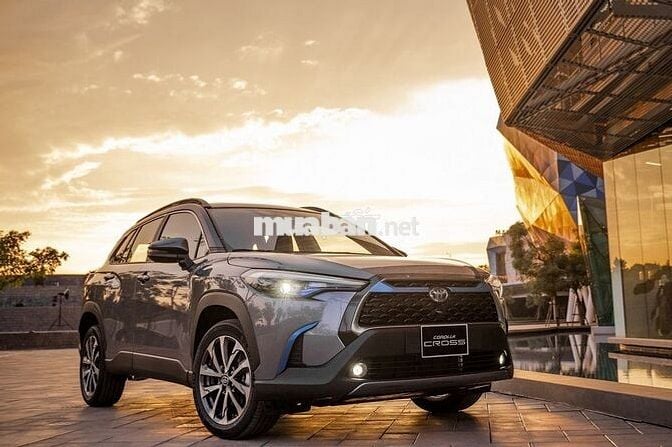 Innova Vios Veloz Fortuner Camry