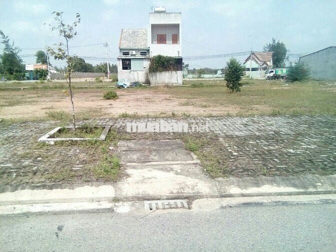 NHÀ ĐẦU TƯ THÔNG THÁI - CƠ HỘI SINH LỜI ĐỘT PHÁ !!!
