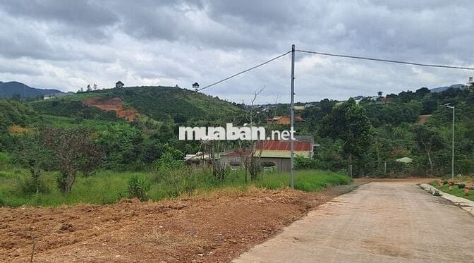 Chính chủ bán đất view thông 790 triệu 320m2 có 108m thổ cư ven Đà Lạt