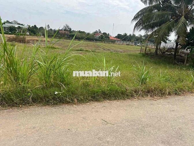 124m2 thổ cư 100% , giá : 659tr , nhị thành - thủ thừa - long an