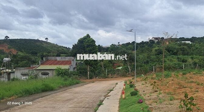Chính chủ bán đất view thông 790 triệu 320m2 có 108m thổ cư ven Đà Lạt