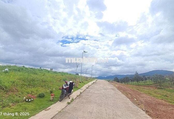 Chính chủ bán đất view thông 790 triệu 320m2 có 108m thổ cư ven Đà Lạt