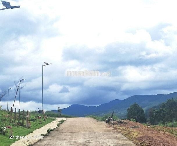Chính chủ bán đất view thông 790 triệu 320m2 có 108m thổ cư ven Đà Lạt