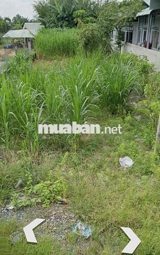 LÔ ĐẤT 175m2 FULL THỔ CƯ- GẦN TRƯỜNG HỌC UỶ BAN