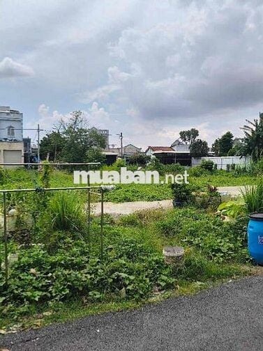 Bán Lô Đất Vuông Đẹp HXH 6m –Trung Đông 7, Thới Tam Thôn , Hóc Môn