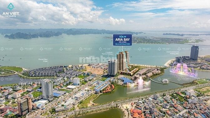 Sở hữu căn hộ Aria Bay mặt Vịnh Hạ Long vĩnh cửu chỉ từ 700tr