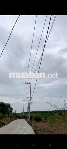 BÁN 2000 M2 ĐẤT XUYÊN MỘC, BRVT, 440 TR/ 1 SÀO