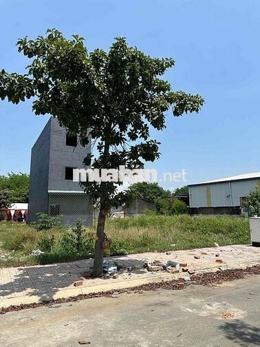 Chỉ nhĩnh 1.68 tỷ có ngay đất Đ.22 Tháng 12, Thuận Giao. Cạnh Vsip 1
