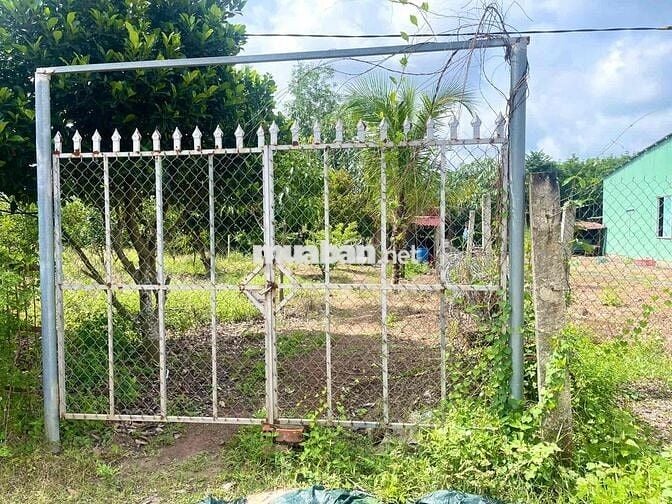 bán mảnh vương tâm quyết 450tr