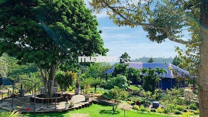 Khu nghỉ dưỡng 1,38ha view suối, giá chỉ 9.5 tỷ – Lộc Thành, Bảo Lâm