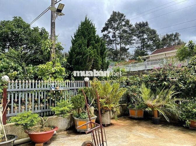 BÁN ĐẤT THỔ CƯ MẶT TIỀN ĐƯỜNG TỨ QUÝ LỘC AN - 1.2 SÀO - 15M MẶT TIỀN