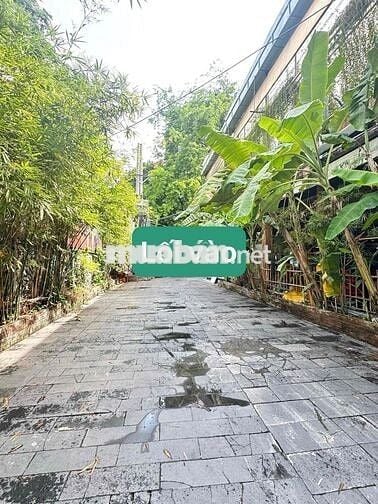 Cho thuê nhà Cao thắng Quận 10 ngay Hà đô 950m2  giá 150tr