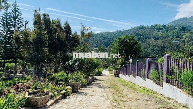 Khu nghỉ dưỡng 1,38ha view suối, giá chỉ 9.5 tỷ – Lộc Thành, Bảo Lâm
