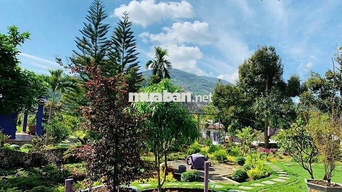 Khu nghỉ dưỡng 1,38ha view suối, giá chỉ 9.5 tỷ – Lộc Thành, Bảo Lâm