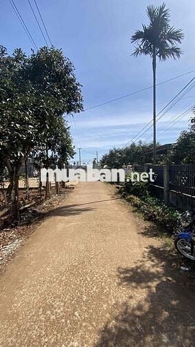 Chính chủ bán đất mặt tiền Xã bình thuận, thị xã buôn hồ