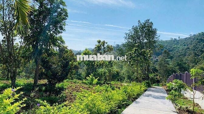 Khu nghỉ dưỡng 1,38ha view suối, giá chỉ 9.5 tỷ – Lộc Thành, Bảo Lâm