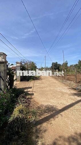 Chính chủ bán đất mặt tiền Xã bình thuận, thị xã buôn hồ