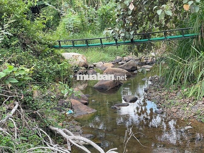 Khu nghỉ dưỡng 1,38ha view suối, giá chỉ 9.5 tỷ – Lộc Thành, Bảo Lâm