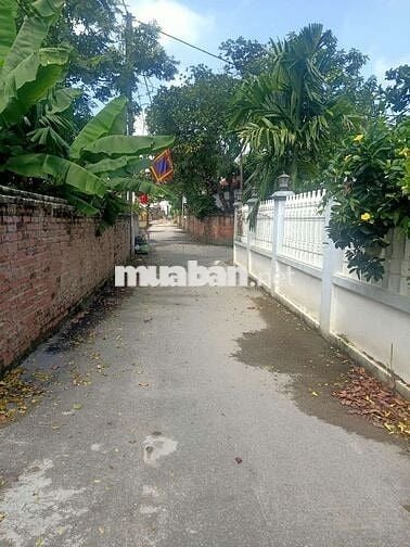 CC BÁN 360M(ĐẤT Ở 120M) GIÁ CHỈ 5,94 TỶ TT THÔN 3 PHÚ CÁT HÀ NỘI