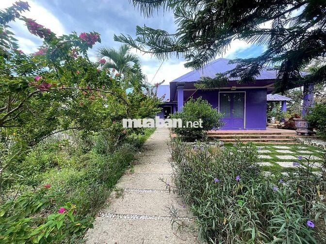 Khu nghỉ dưỡng 1,38ha view suối, giá chỉ 9.5 tỷ – Lộc Thành, Bảo Lâm
