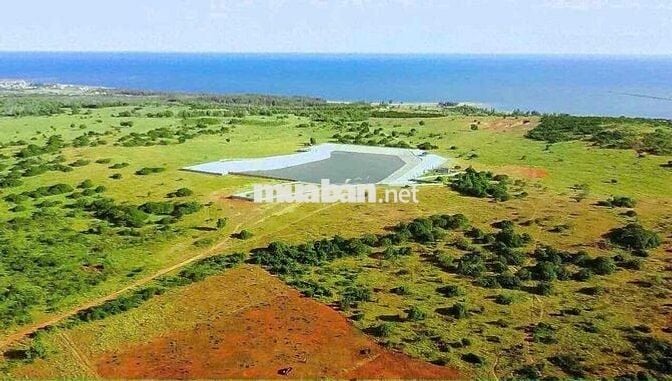 Cần bán gấp lô đất view biển Bình Thuận 150k/m2
