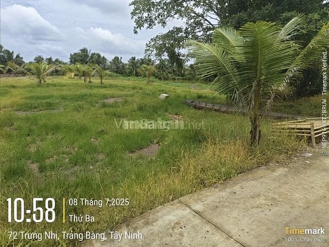 Gần 700m2 đất nhà vườn tại trung tâm Trảng Bàng chỉ 1,65 tỷ