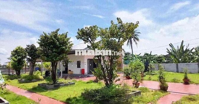 Chủ kẹt tiền kí gửi bán gấp căn nhà vườn đẹp