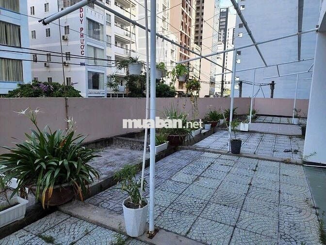 MD Cho thuê chung cư 60 Nguyễn Thiện Thuật, Nha Trang, Khánh Hòa