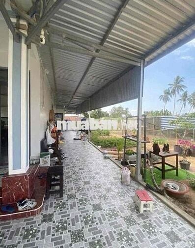ÔNG BÀ LỚN TUỔI CẦN BÁN GẤP LÔ ĐẤT VƯỜN
