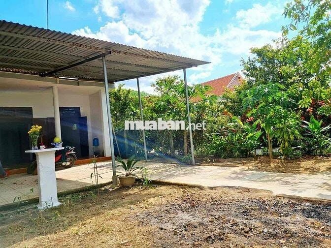 Chủ cần bán nhanh căn nhà va dat tổng diện tích hơn 400m2