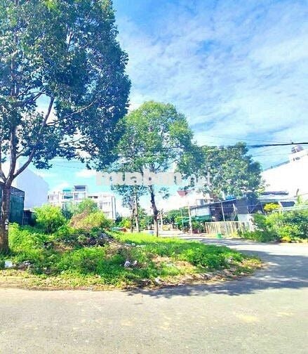 Giá rẻ nhất khu vực đường Huỳnh Văn Trí ,xã Bình Chánh , Bình Chánh