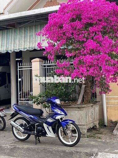Bán Exciter 5p71 zin