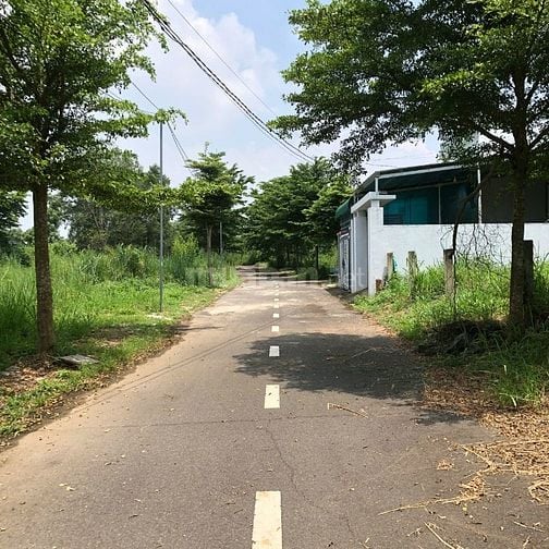🌟 Bán Đất Ấp 10, xã Trảng Bom, Đồng Nai - Giá Chỉ 900 Triệu