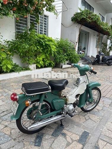 Xe Honda cup 50cc