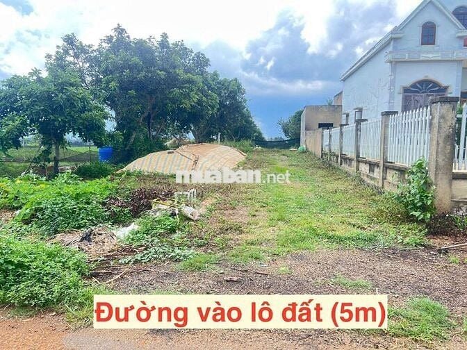 THANH LÝ LÔ ĐẤT FULL THỔ CƯ – LỘC AN (BẢO LÂM 2), TP. BẢO LỘC