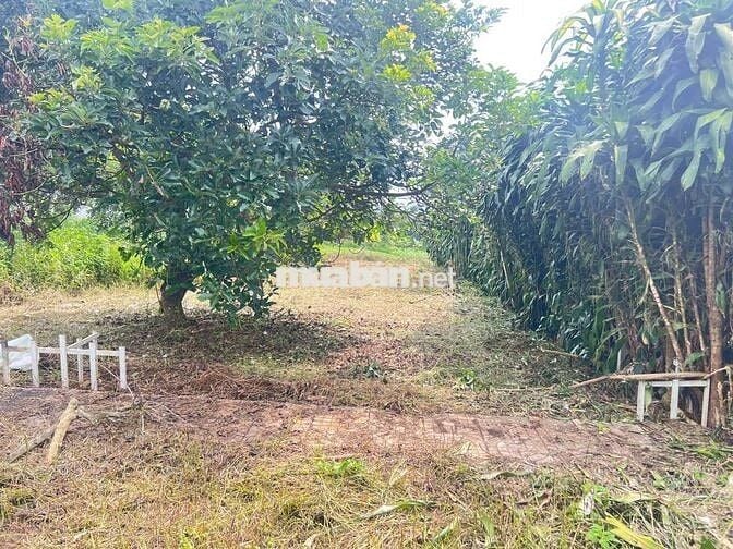 THANH LÝ LÔ ĐẤT FULL THỔ CƯ – LỘC AN (BẢO LÂM 2), TP. BẢO LỘC