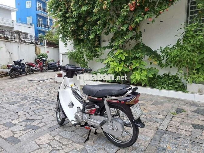 Xe  dream Hàn Quốc