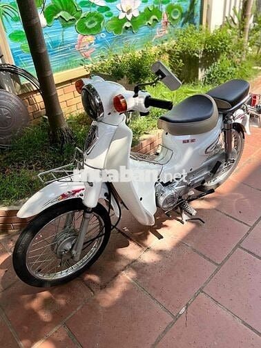 BÁN XE WARE HALIM 50cc