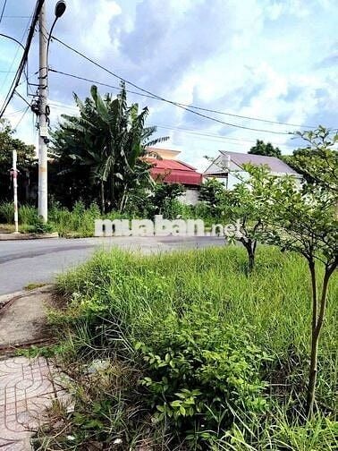 💥 ANH MINH BÁN GẤP 900TR LÔ 210M² ĐẸP NGAY TT CỦ CHI 💥