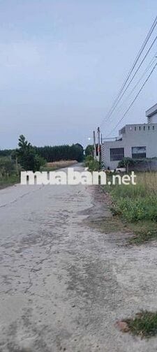 Cần bán đất nền dự án khu dân cư Long Việt An